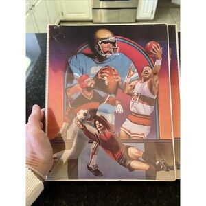 Vintage Mead The Organizer School‎ Binder Sports Football Basketball Soccer Ball